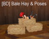 [BD] Bale Hay & Poses