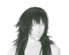 grunge ginseng hair 03