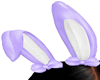 Wht/Lil Easter Bunny Ear