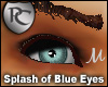 Splash of Blue Eyes
