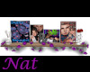 ~N~ Our Pic Shelf