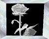 [RQ] Silver Rose