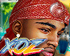xOz Ant Fitted Durag '25