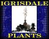 IGRISDALE PLANTS