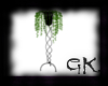 (GK) Ivy Plant