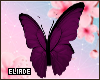 Purple RT Butterfly ♥