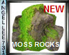 ROCKS WITH MOSS