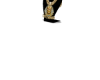 lyfedisplay