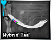 D~Hybrid Tail: White M/F