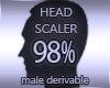 Head Scaler 98%