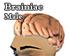 The Brainiac Male