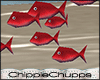 School of Fish Red