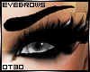 !T3! HeRMisS Eyebrows ~