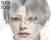 ╋━hachi !