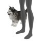 Husky Buddy
