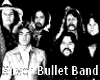Silver Bullet Band