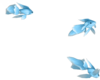 Aqua Koi animated Fish