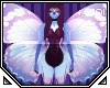 Tiv| Flutter *Wings* 