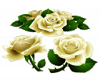 White Rose Rug