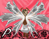 Angel fairy