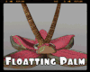 *Floatting Palm