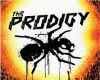 the Prodigy, Hoodigy