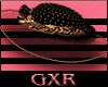 GXR~GOLDEN ROYAL HAT 2