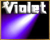 Spotlight Violet Ambient