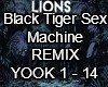 Lion Remix