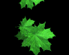 Animated flying leaves