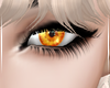 Lollita Eyes-OrangeGemMF