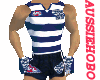 Geelong footy outfit