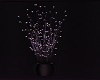 Disco Plants Lights