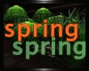 [cy] GREEN SPRING BUSHES