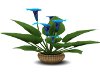 rattan plant blue