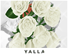 YALLA 7 poses White Rose