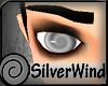 Final Silverwind Eye's