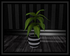 ! Dark Loft Plant 2