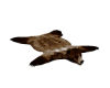 Bear Rug1
