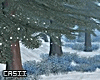 Winter Path PR