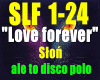 LoveForever-Slon /DISCO