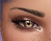 |F| ChestNut Eyes