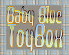 Baby Blue Toy Box