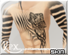 .xpx. Were Zebra skin