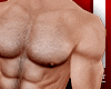 Bz - Muscular Sexy Body