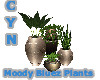 Moody Bluez Plants