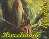BROCELIANDE Arthur sword