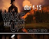 Avicii-Wake Me Up(RMX)