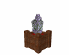 Planter Box Lavender