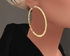 TA Gold Hoops